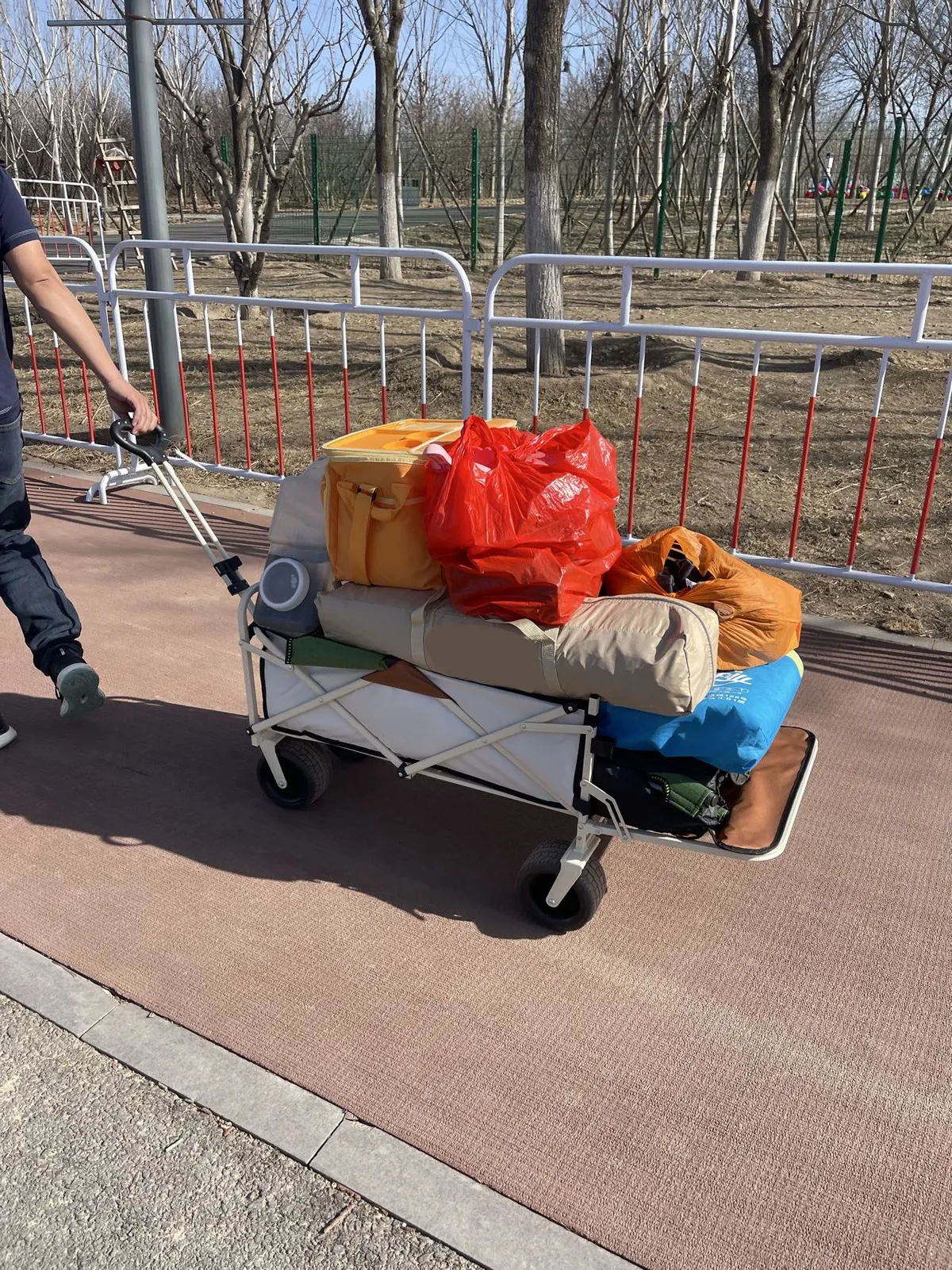 CCT-001 Camping Carts - image 3