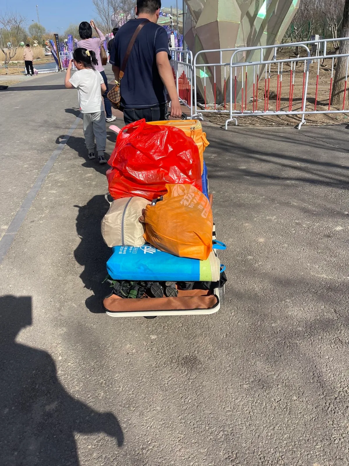 CCT-001 Camping Carts - image 4