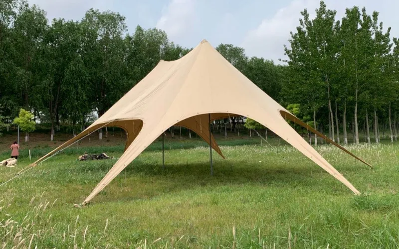 Double Star Shaped Sunshade - image 2