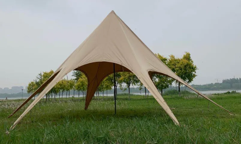 Single Star Shaped Sunshade